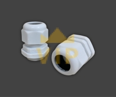 oc-xiet-cap-nhua-pg-19-evgeny