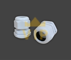 oc-xiet-cap-nhua-pg-21-evgeny