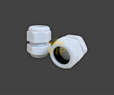 oc-xiet-cap-nhua-pg-25-evgeny