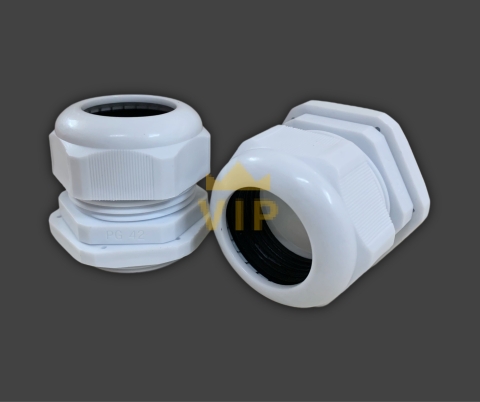 oc-xiet-cap-nhua-pg-42-evgeny