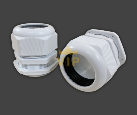 oc-xiet-cap-nhua-pg-63-evgeny